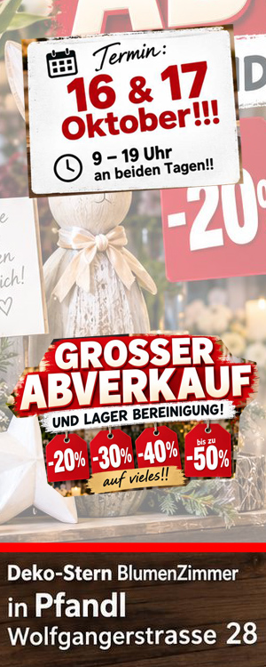 Deko Stern Pfandl Hoch